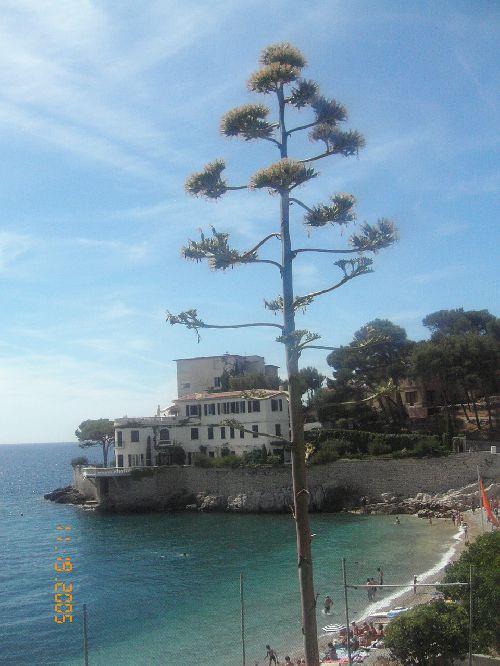 Magnifique maison a Cassis