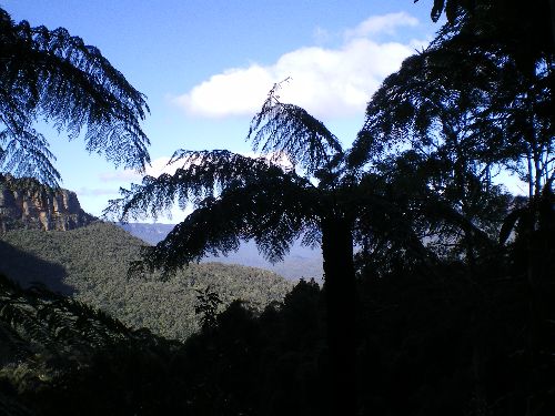 blue montains