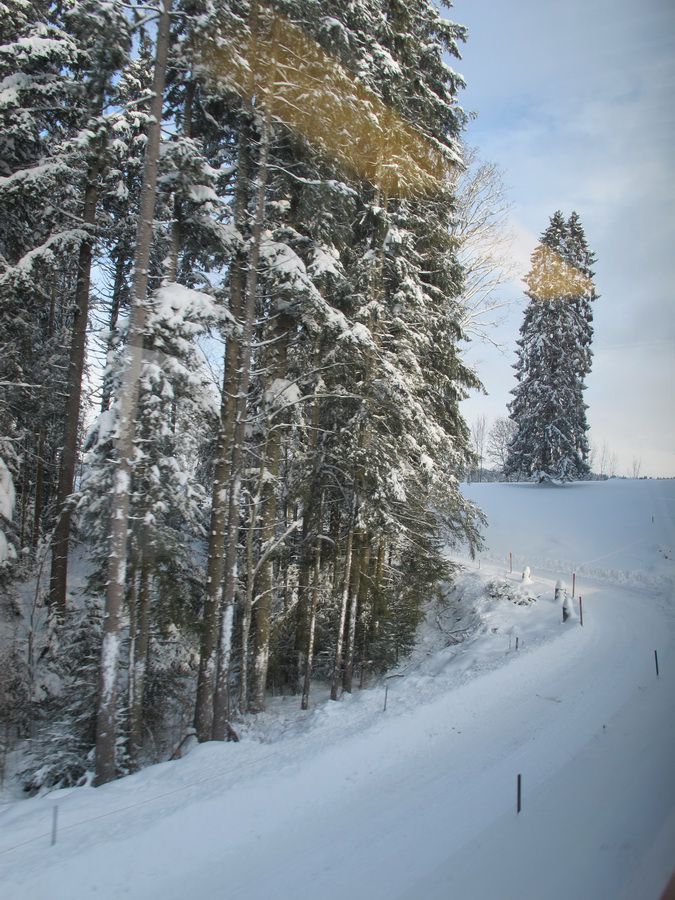 La route, vue du train...