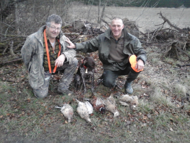 Belle journée de chasse aux faisans entre amis