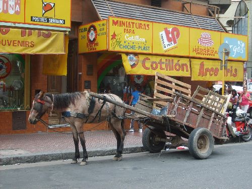 Cordoba - Transport local!