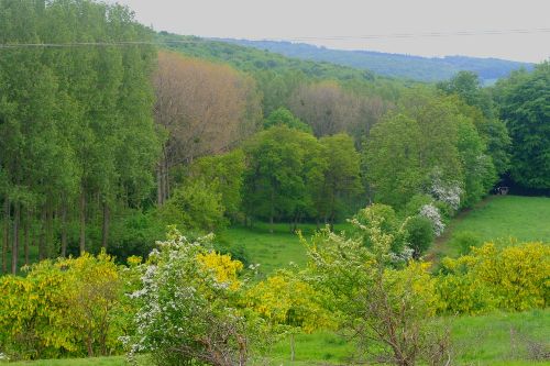 Mon deuxième petit coin de paradis : Méneslies