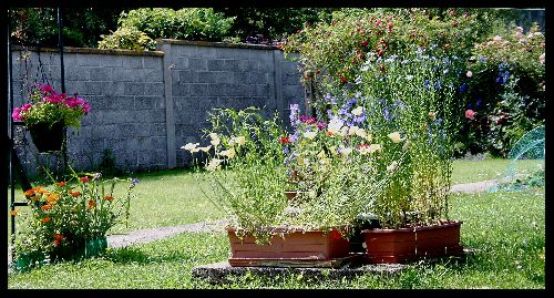 Mon dernier coin de paradis, c'est mon jardin