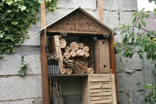 L'hotel à insectes fabriqué l'été dernier accueille les premiers visiteurs