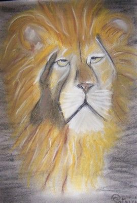 26 - Le lion