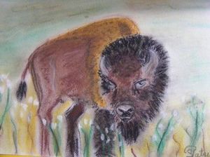32 - Le bison des plaines