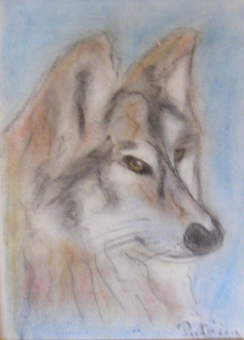 1 - Mon premier dessin : le loup
