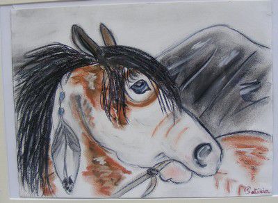 97 - Le cheval indien marron