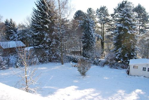 Re le jardin de nos voisin