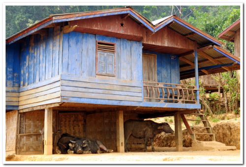 Maison dans la montagne au Nord Est de Luang Prabang
