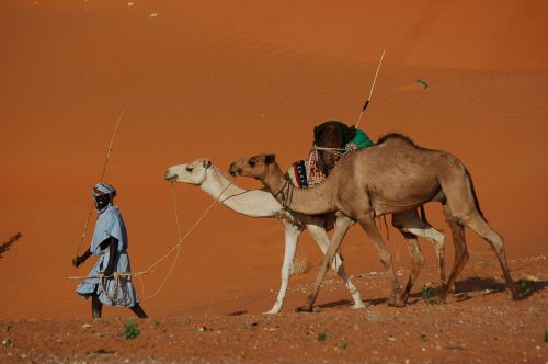 Sur la route de l'espoir en Mauritanie