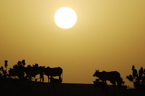 Coucher de soleil en Mauritanie