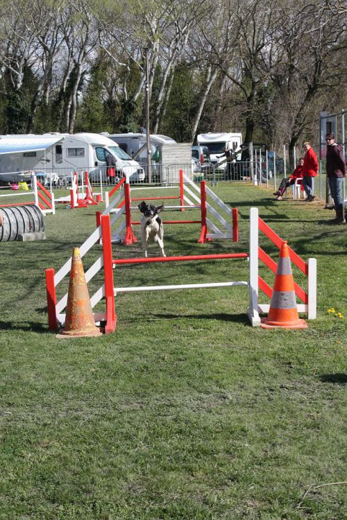 L'Amicale Canine de Rochemaure. 