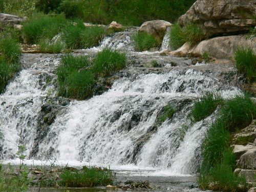 cascade sur la Lergue