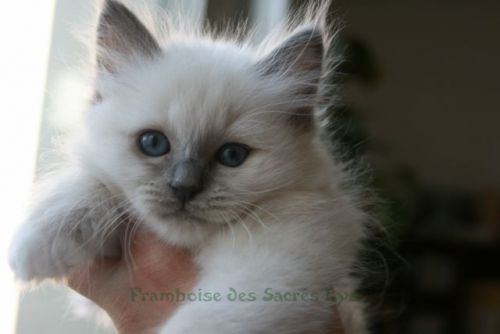 bébé d'Erika, chez Séverine Leclerc 