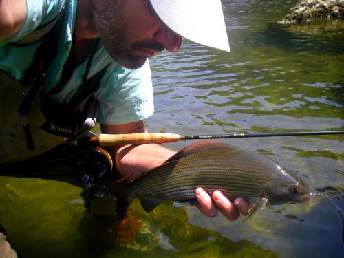 Ombre du Doubs