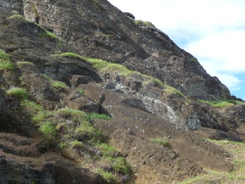 le plus grand moai de 20 metres encore en construction