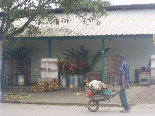 Le marché aux fleurs (2)
