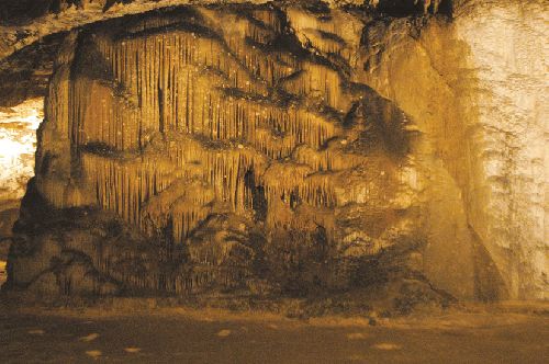 Grotte de Bédeilhac (Ph. Laurent Crassous)
