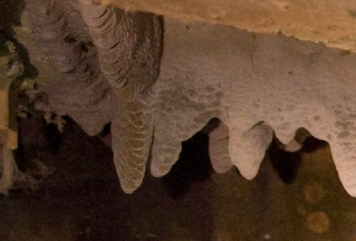 Les stalactites (Ph. Laurent Crassous)