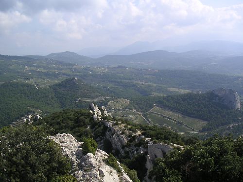 Dentelles de Montmirail (Vaucluse, septembre 2008)