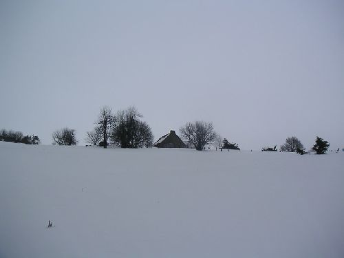 Dans les Monts du Forez - Février 2009