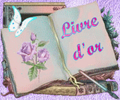 livre d\'or 1