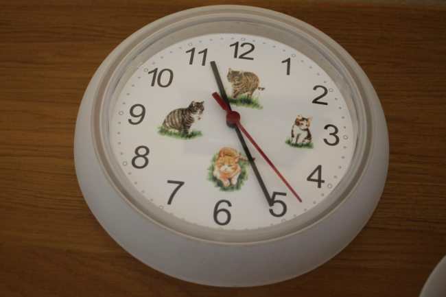 Horloge chats n°1