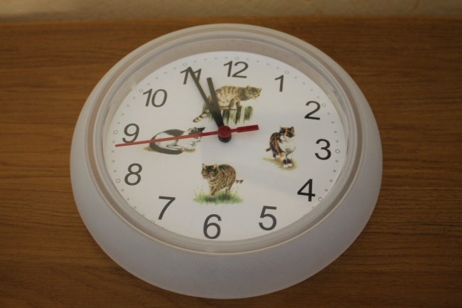 Horloge chats n°2