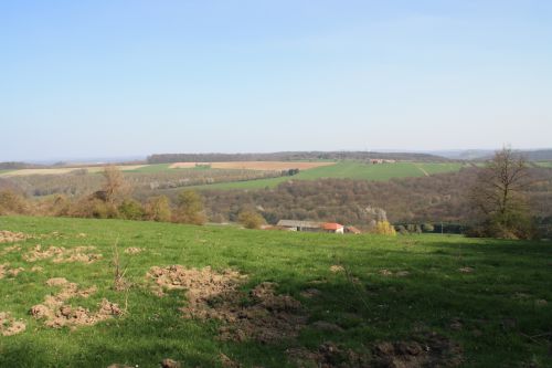 HARGARTEN