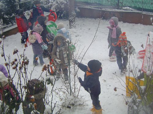 Sous la neige (janv. 2010)