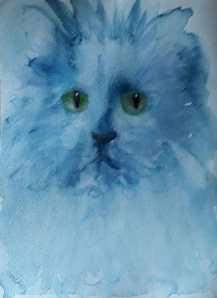 chat bleu.jpg