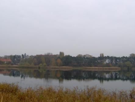 L'automne au bord du lac a Pobiedziska                    (M.G.)