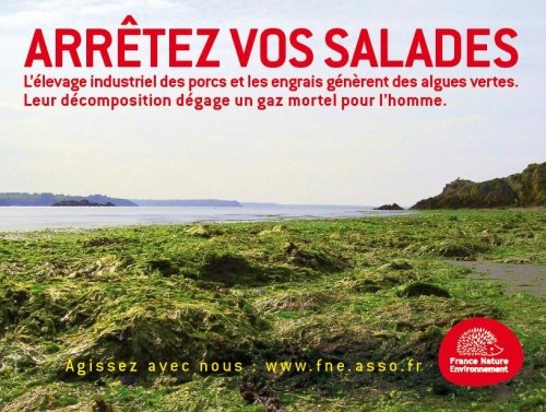 France. Bretagne algues vertes 2.jpg