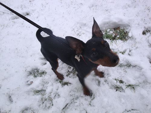 joue aux boules de neige avec maman! (euh elle n\'avait pas le choix là...)