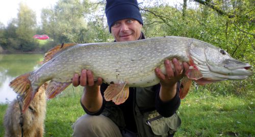 Brochet de novembre