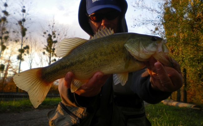 bass de novembre