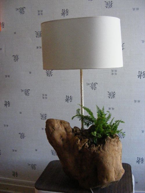 lampe en souche d\'arbre incorporée d\'une plante