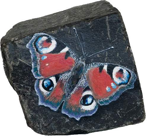 papillon gallet