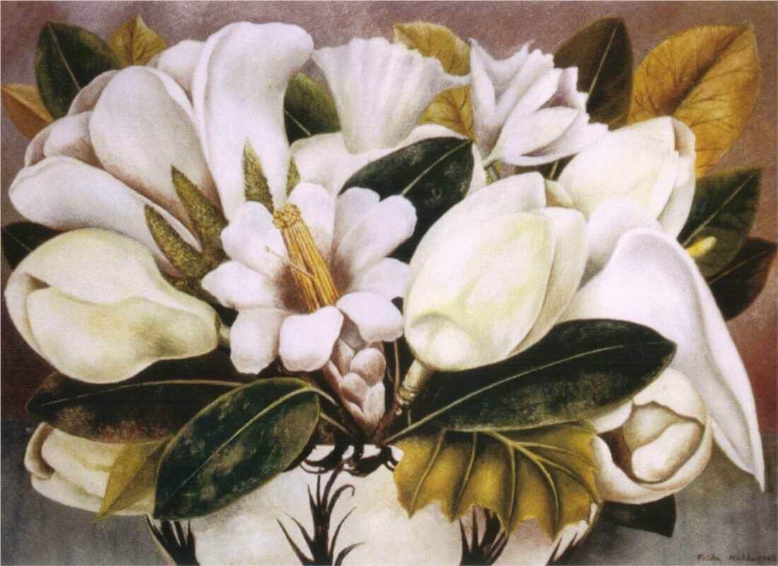 magnolias