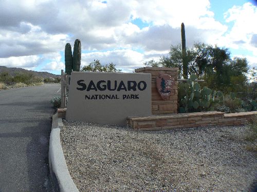 Saguaro NP east