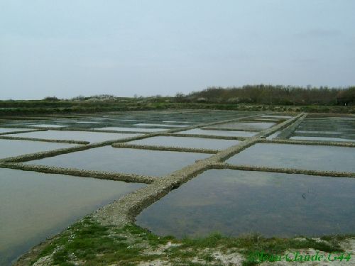 Marais salants de Rostu à Mesquer, 2005