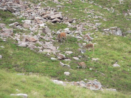 Surprise au détour d\'un virage en pleine ascension