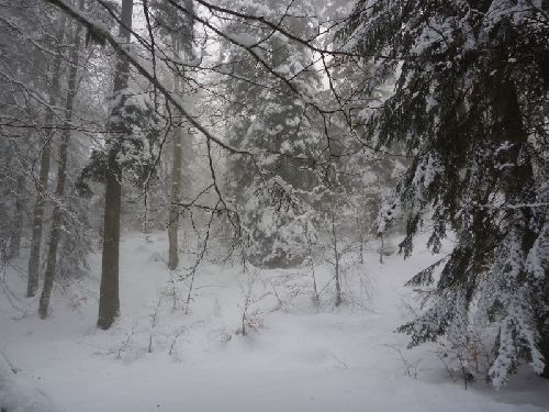 Pas de problème, la neige est au rendez-vous à nouveau !