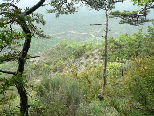 Belle vue sur la vallée en contrebas que nous devons rejoindre