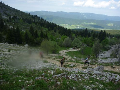 En sortie de forêt