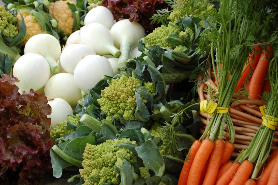 Nos légumes bio près de Marmande