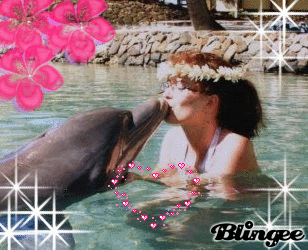 Le 11/02/09 : photo montage Moorea, rencontre avec un dauphin