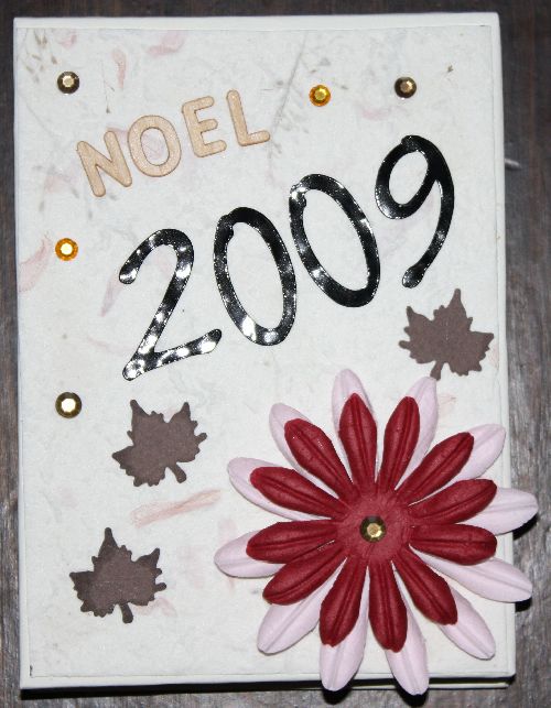 NOEL 2009 chez Papie et Mamie, à Condal (71), puis passage chez Pépé et Mémé pour récupérer cadeaux du Père Nöel !!