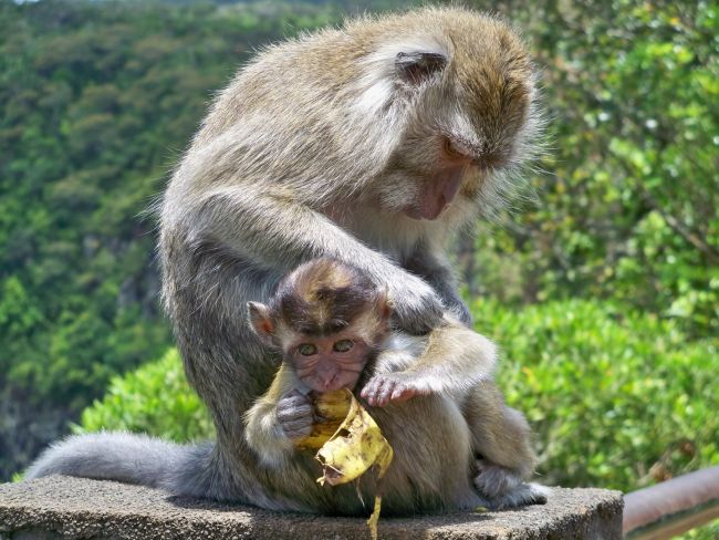 En famille !